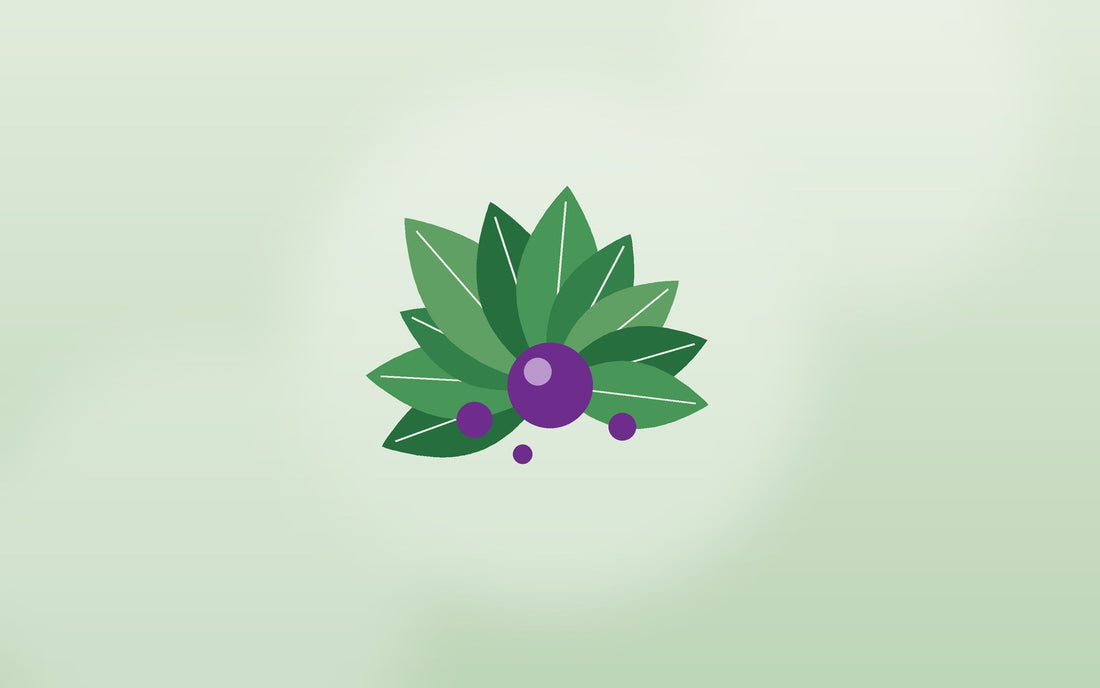 Green leaves gathered around a purple berry on a soft sage background