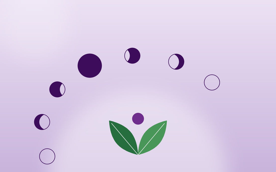 Moon phases arching over two green leaves on a lavender background